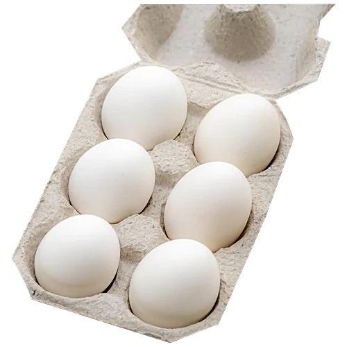 cool eggs 6 pcs white eggs