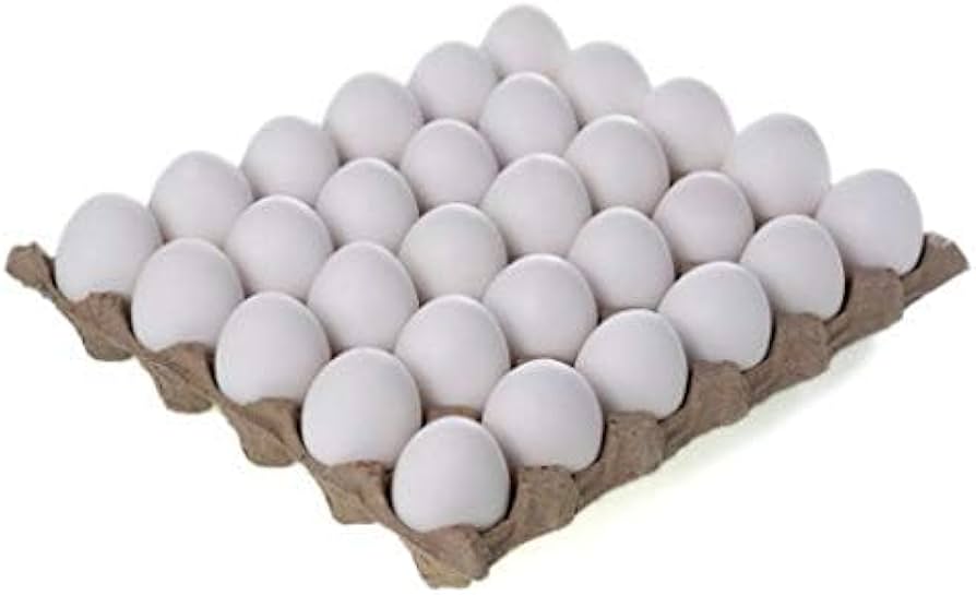 cool eggs 30 pcs white eggs