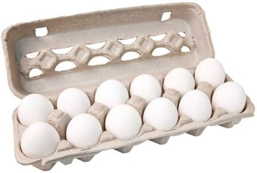 cool eggs 12 pcs white eggs