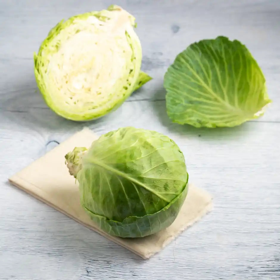 Cabbage