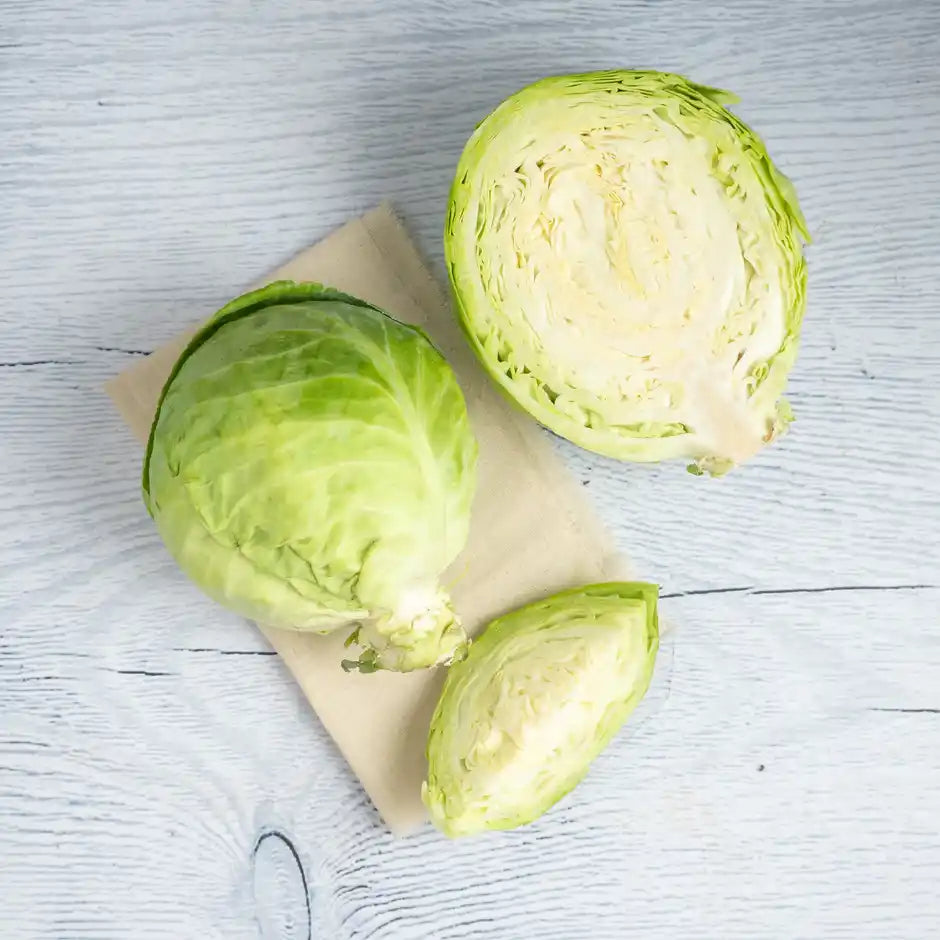Cabbage
