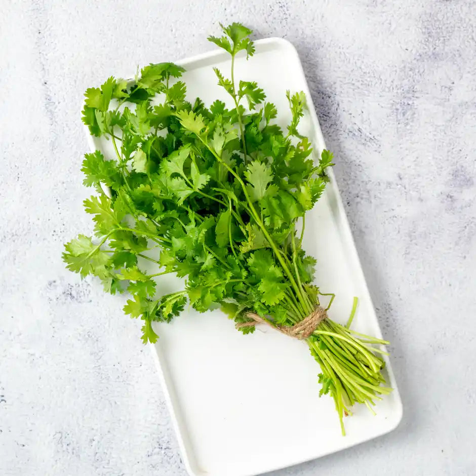 Coriander leaves