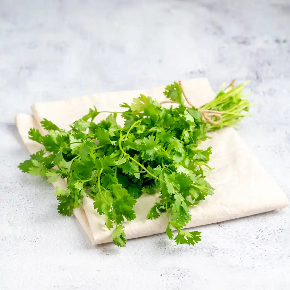 Coriander leaves