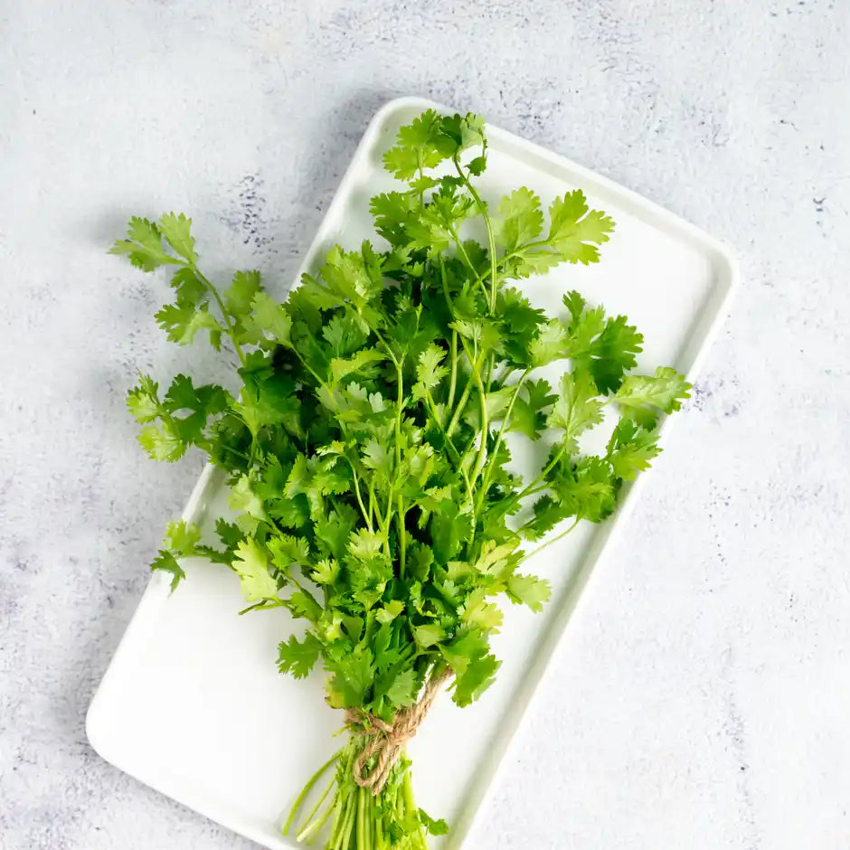Coriander leaves