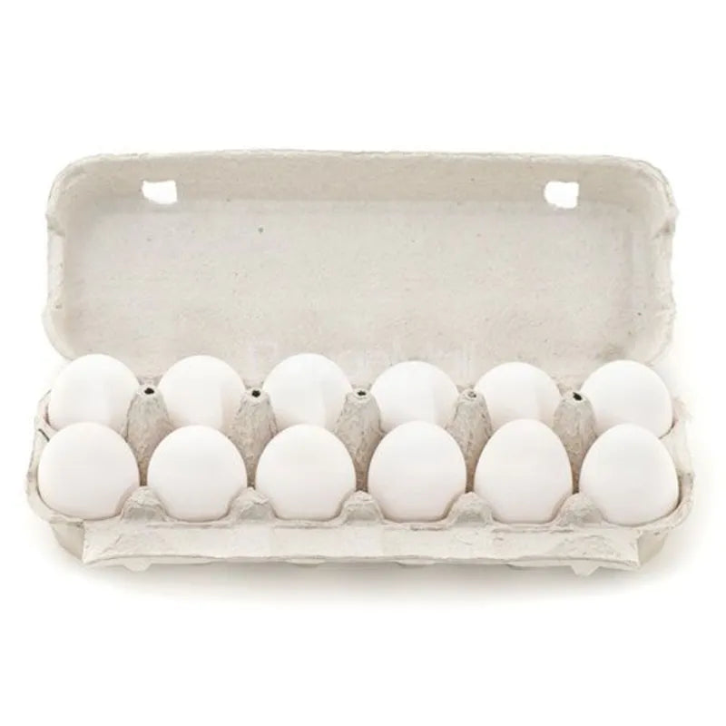 cool eggs 12 pcs white eggs