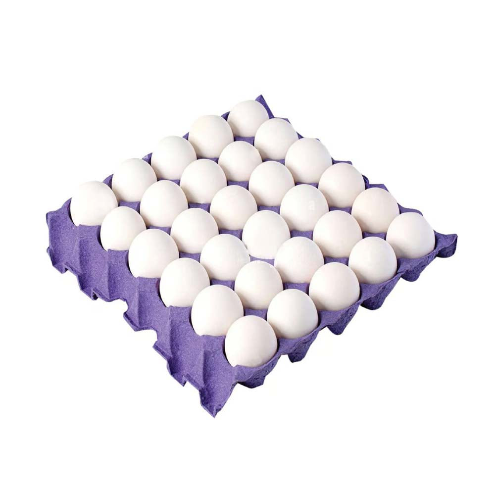 cool eggs 30 pcs white eggs