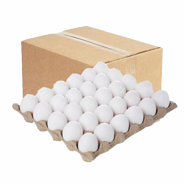 cool eggs 30 pcs white eggs